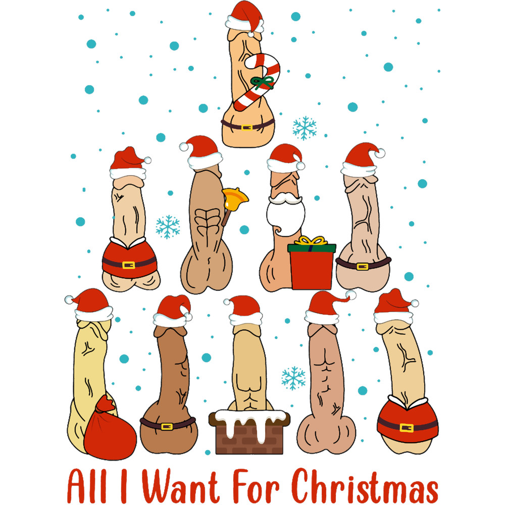 Ugly Xmas Shirt Women, Dirty Christmas Sweater, Naughty Christmas, Christmas Sweatshirt, Secret Sant.png