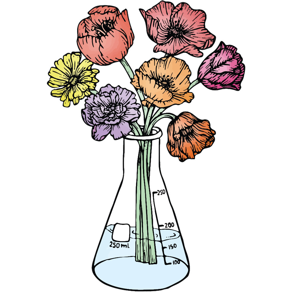 Erlenmeyer Bouquet.png