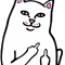 Vintage Cat Midle Finger Call Me.png
