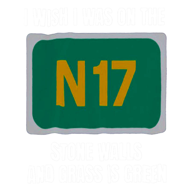 I Wish I Was On The N17 Irish Celtic Folk Rock Band Saw Drs Womens.png