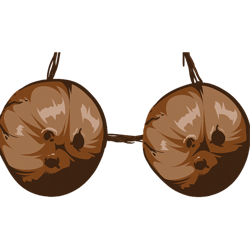 summer coconut bra halloween costumefunny outfit gift .