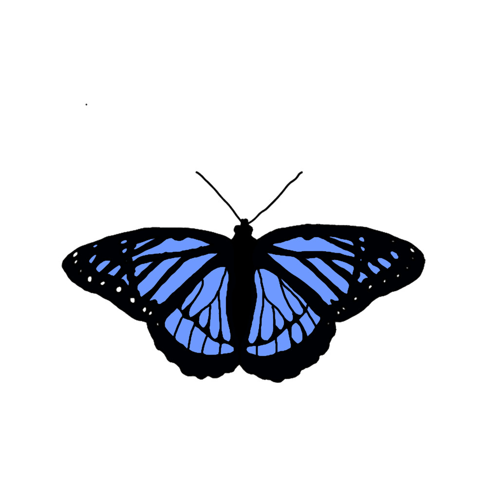 Blue monarch butterfly(1).png