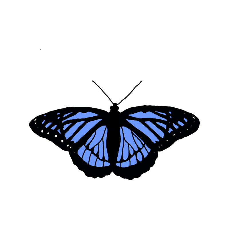 Blue monarch butterfly(1).png