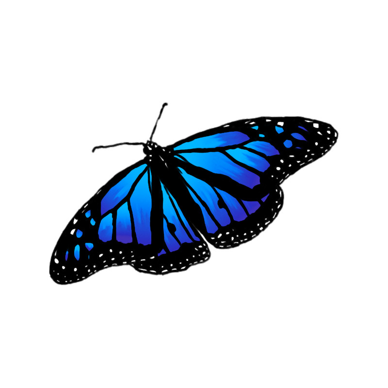 Blue Monarch.png