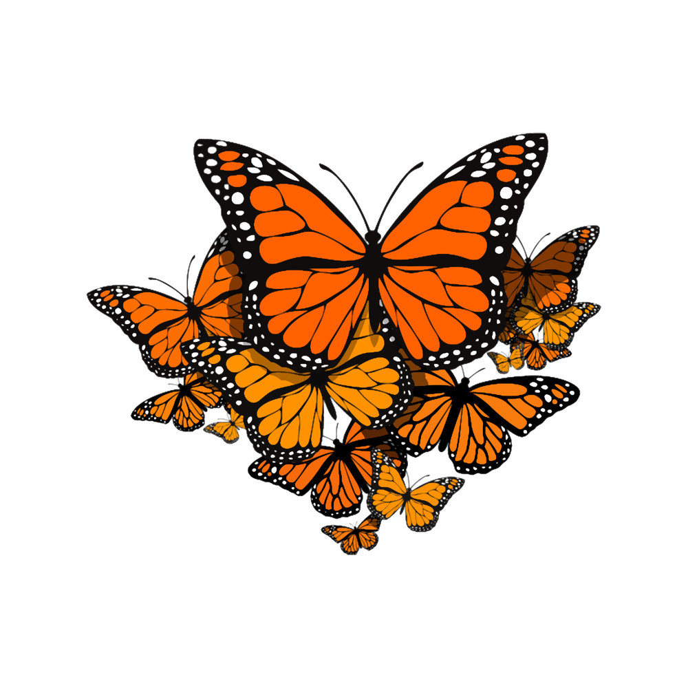 butterfly danaida monarch.png