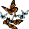 Butterfly Pattern - Monarchs and Blues.png