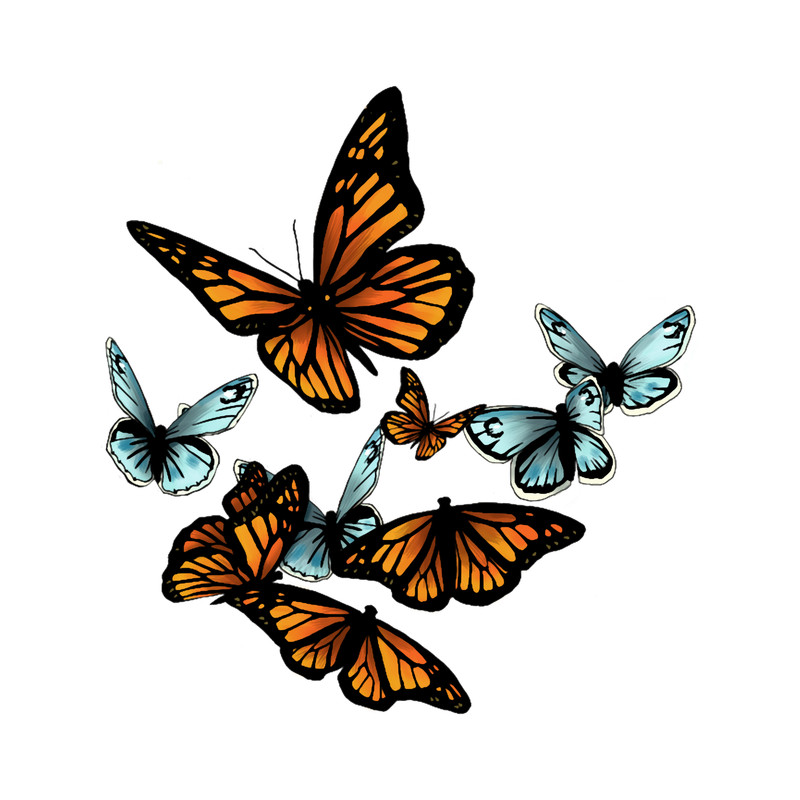 Butterfly Pattern - Monarchs and Blues.png