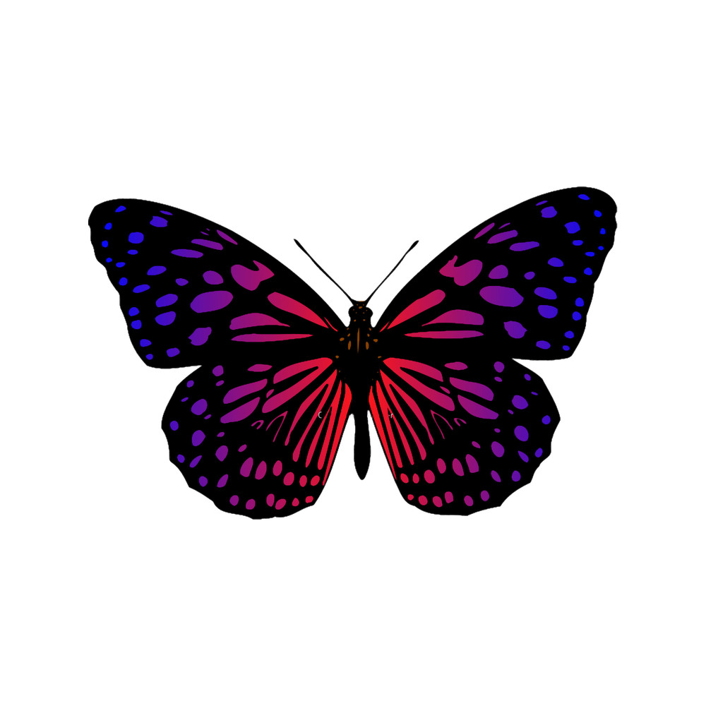 Cartoon Monarch Butterfly.png