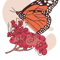MONARCH BUTTERFLY (17).png
