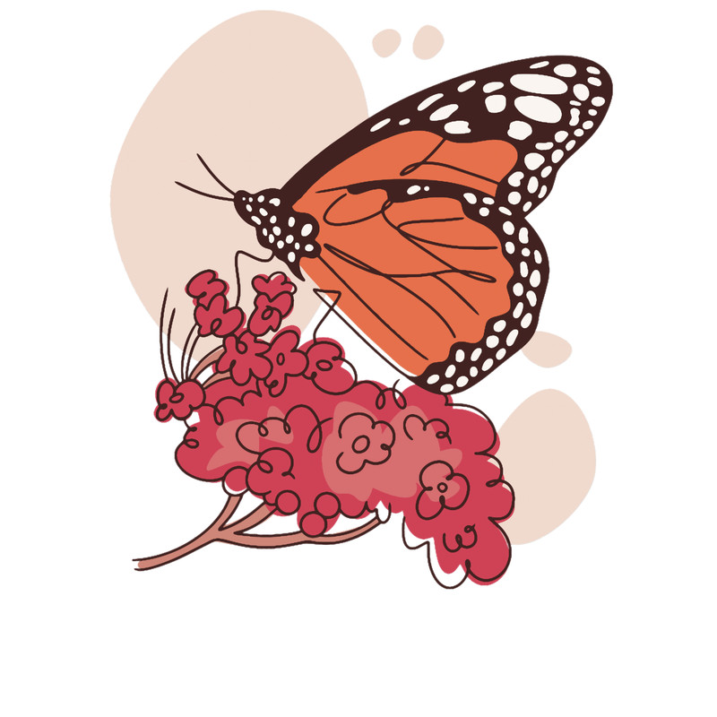 MONARCH BUTTERFLY (17).png