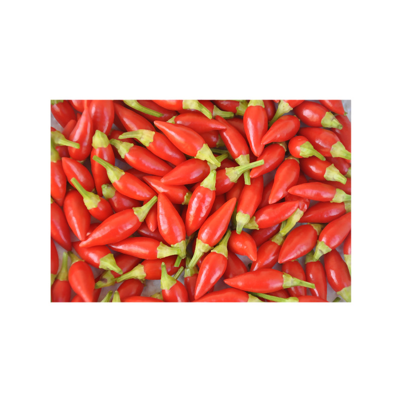 piri piri chilli Long .png