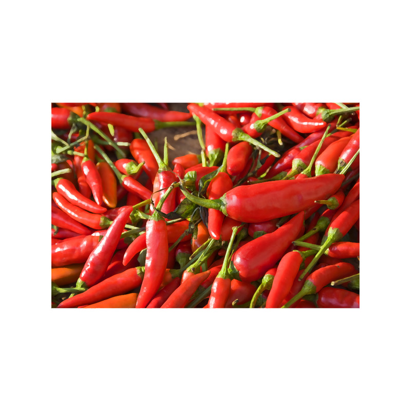 Red fresh chili peppers.png