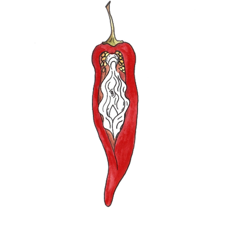 Red hot chilli vulva.png