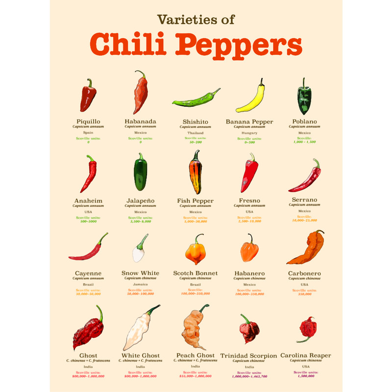 Varieties of Chili PeppersLong .png