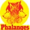 Phalanges Wolf.png