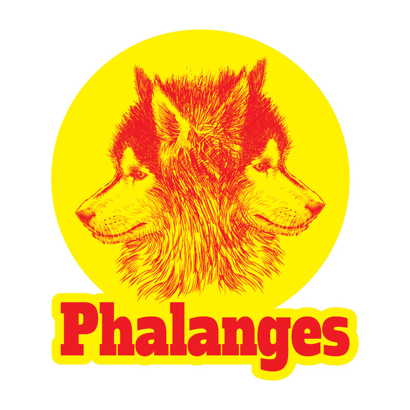 Phalanges Wolf.png