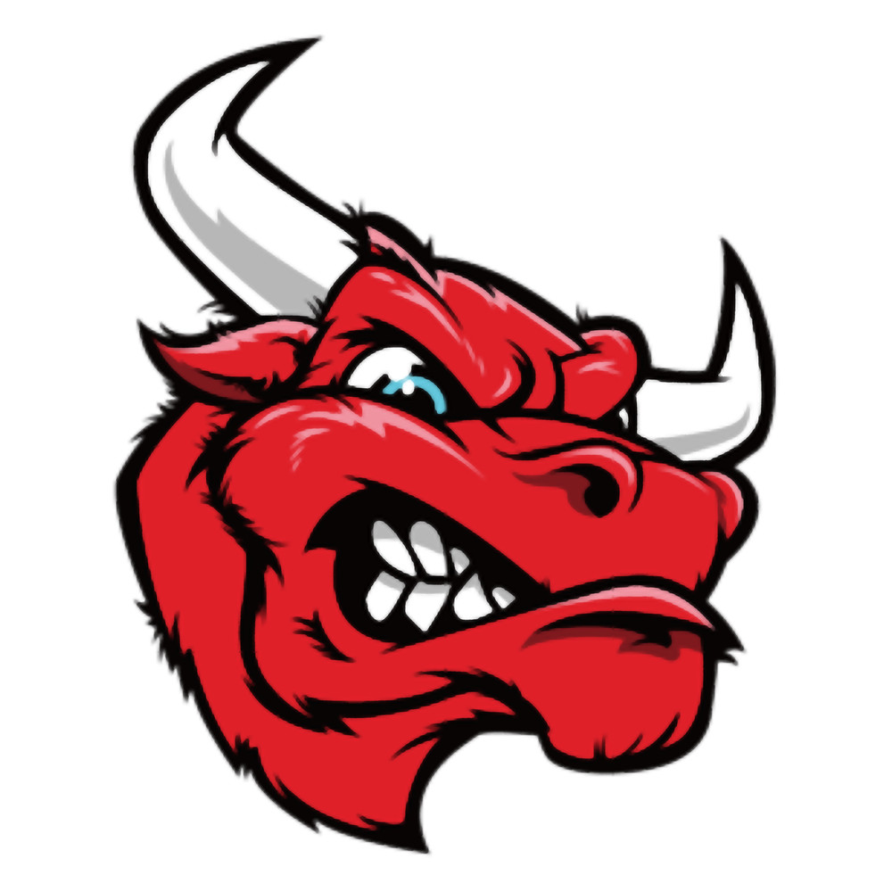 Angry bull series .png