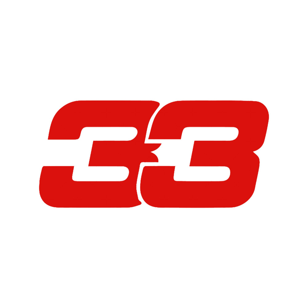 Max Verstappen Formula 1 Number (4).png