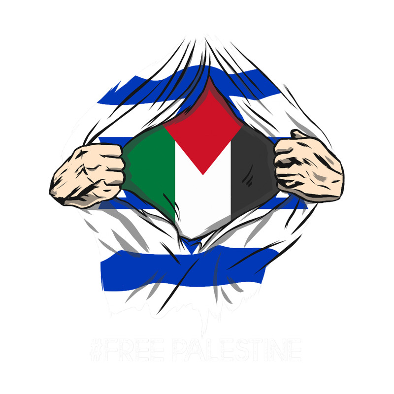 Superman Free Palestine Israel Flag.png
