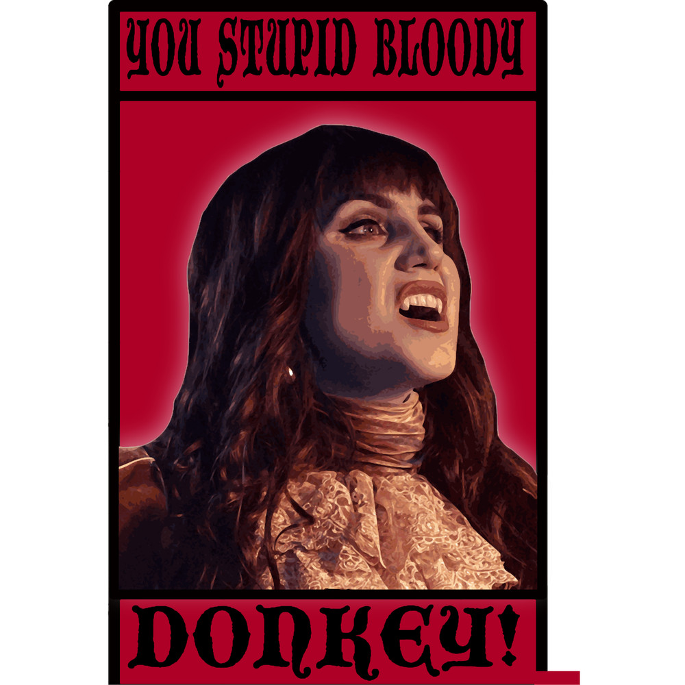 You Stupid Bloody Donkey.png