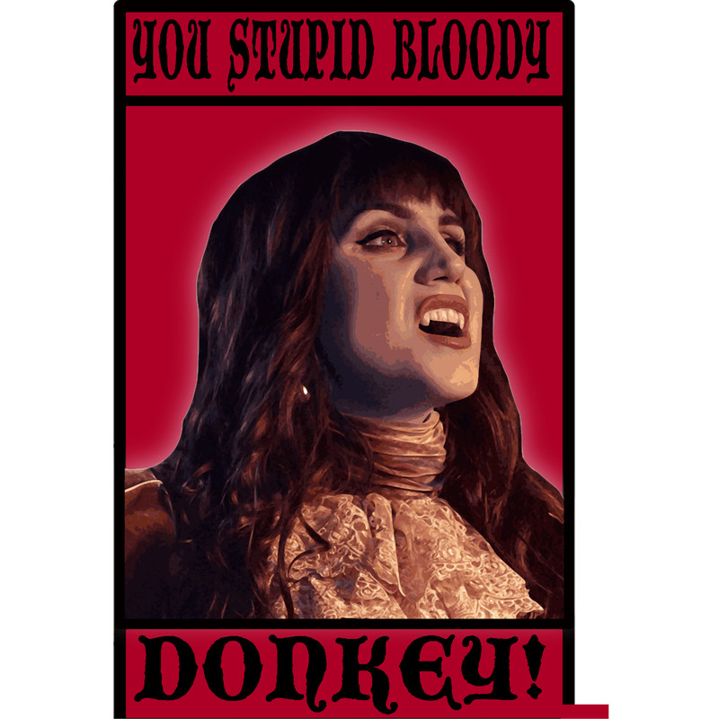 You Stupid Bloody Donkey.png