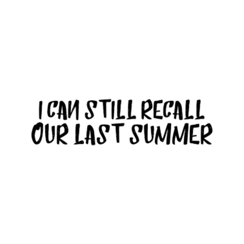 Our last summer.png
