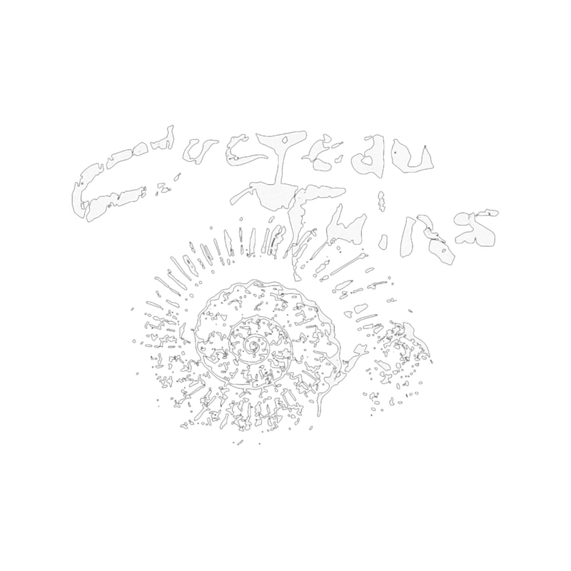 Cocteau twins (6).png