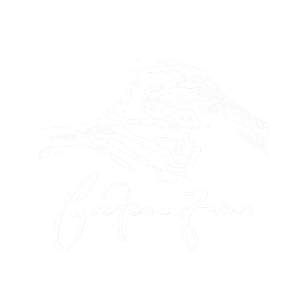 Cocteau Twins 2.png