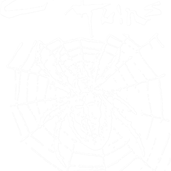 cocteau twins post punk