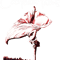 Cocteau Twins Rock Band.png