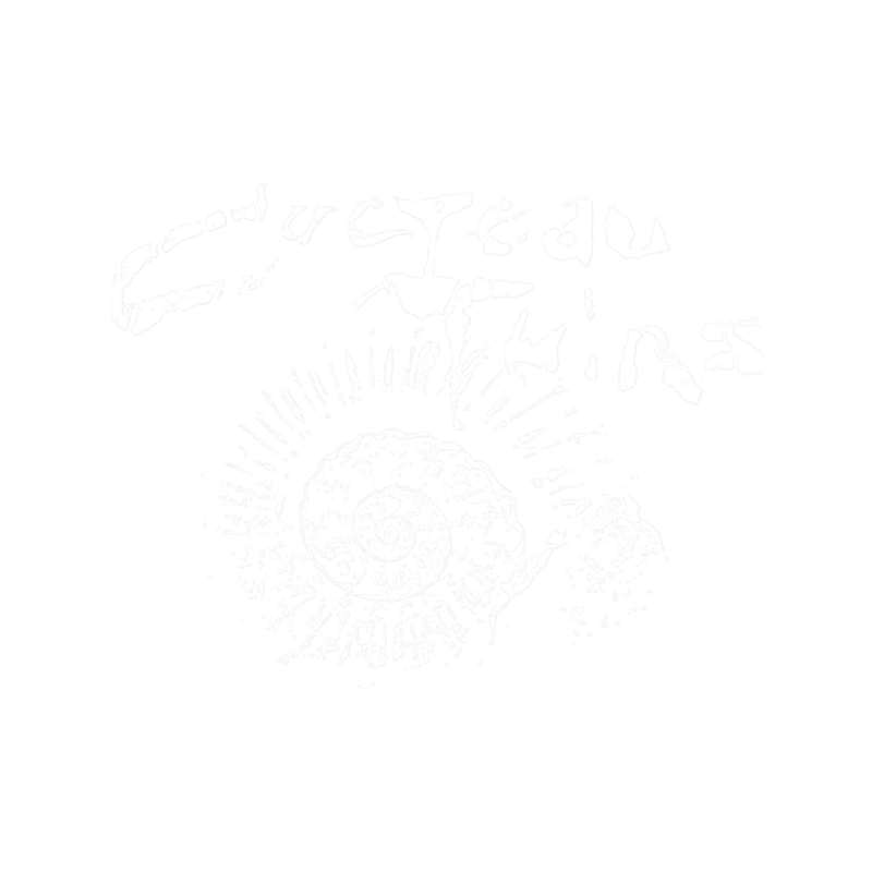 Cocteau Twins Rock.png