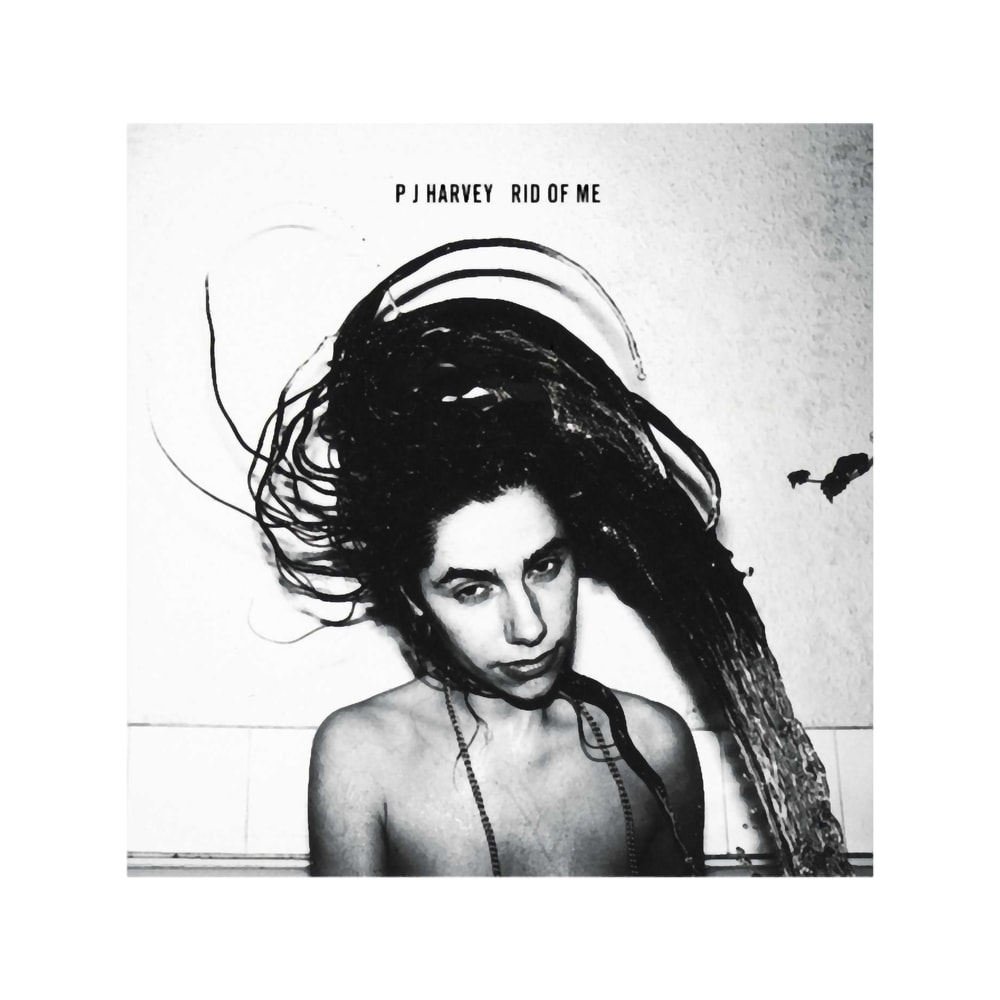 PJ Harvey.png