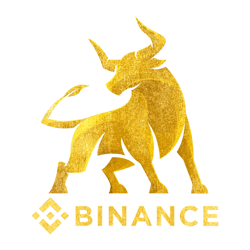 bull market binance bnb coin to the moon crypto token cryptocurrency blockchain wallettshi 1