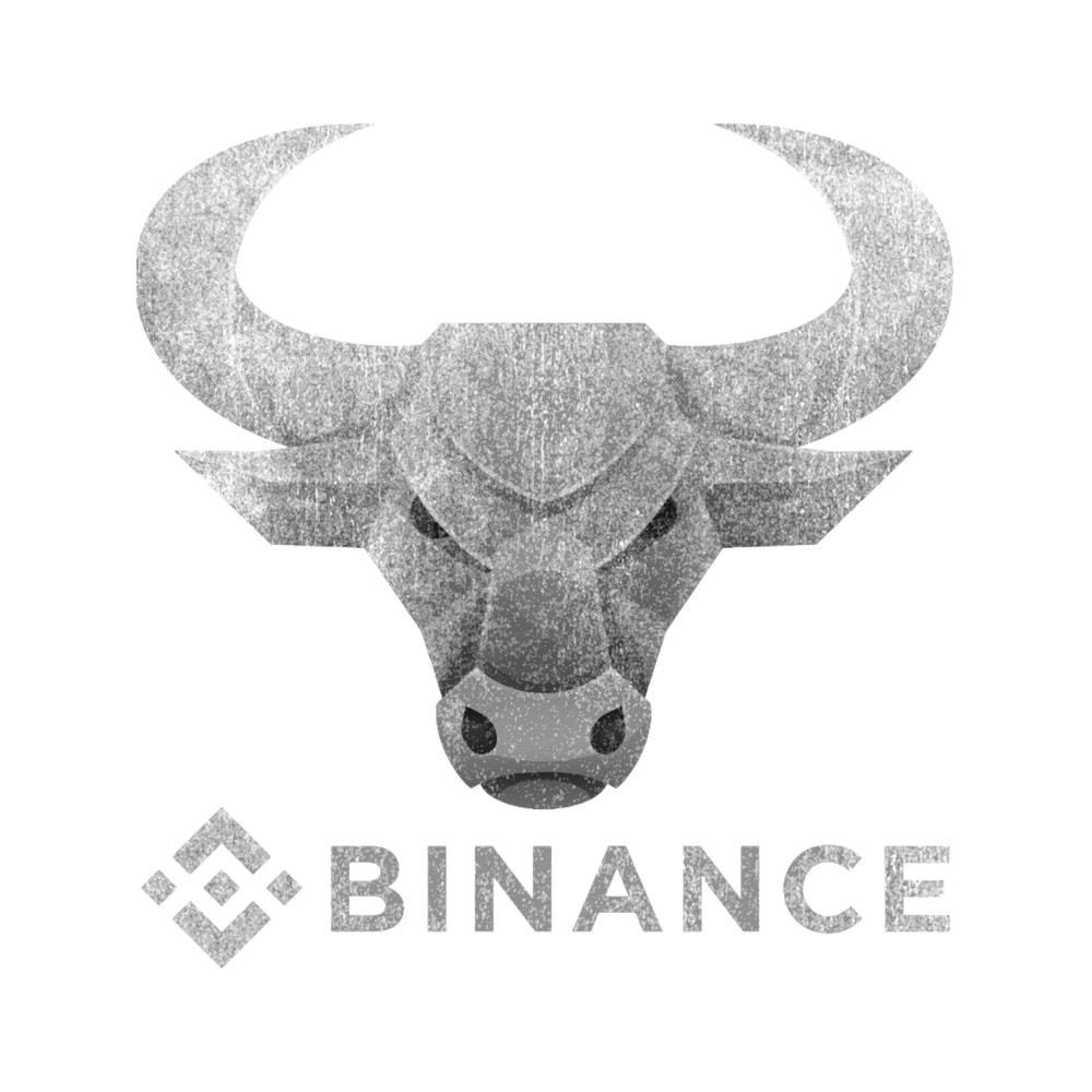 Bull Market Binance BNB Coin To The Moon Crypto Token Cryptocurrency Blockchain WalletT-Shi (3).png