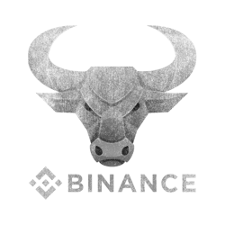 bull market binance bnb coin to the moon crypto token cryptocurrency blockchain wallettshi 3