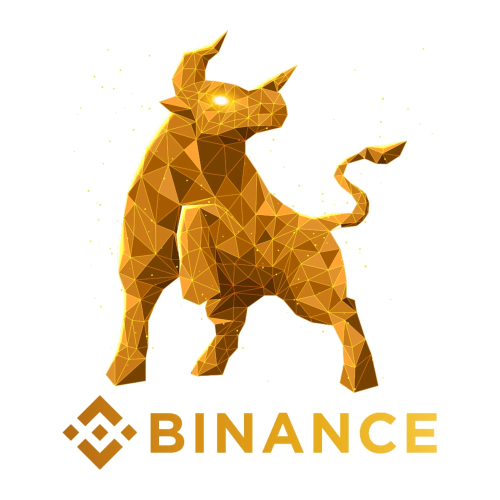 Bull Market Binance BNB Coin To The Moon Crypto Token Cryptocurrency Blockchain WalletT-Shi.png