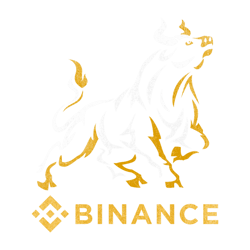 bull market binance bnb coin to the moon crypto token trading blockchain wallet