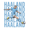Erling Haaland - Manchester City illustration.png