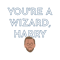 Harry Kane, You_re a Wizard.png