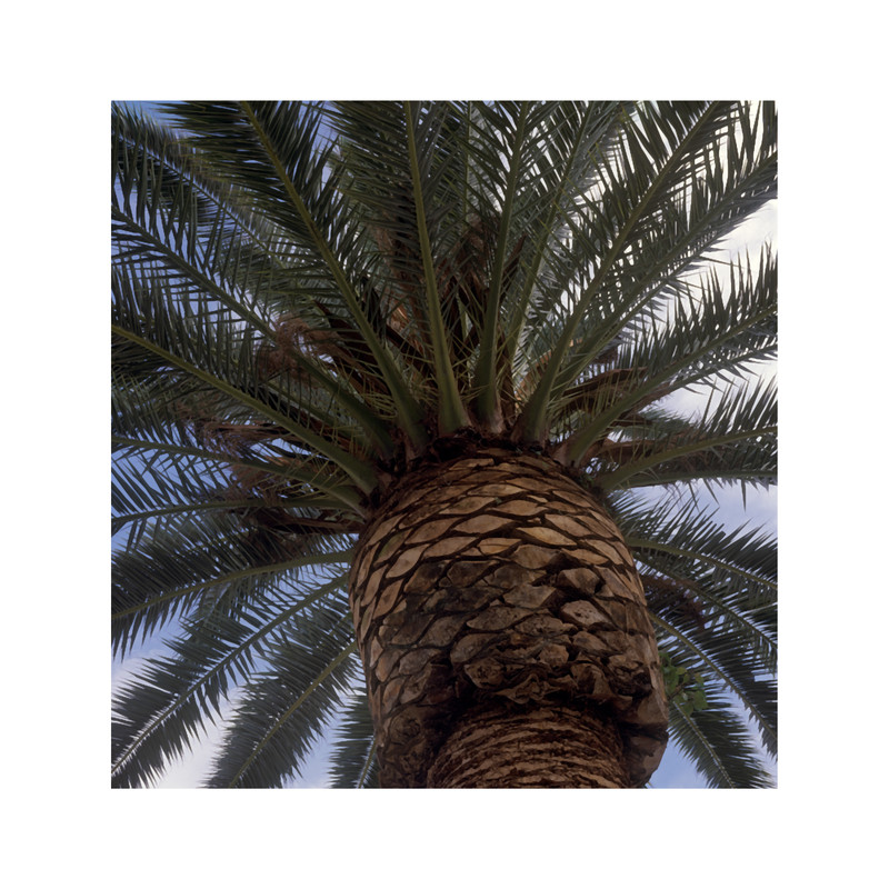 Barcelona, Spain 2012..png