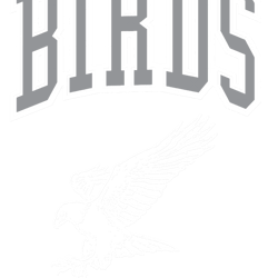 go birds vintage graphic