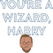 Harry Kane, You_re a Wizard.png