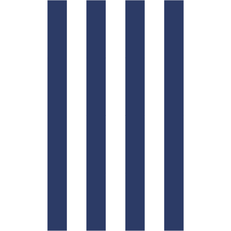 Tottenham 1953 Navy and White Stripes.png