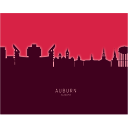 auburn alabama skyline