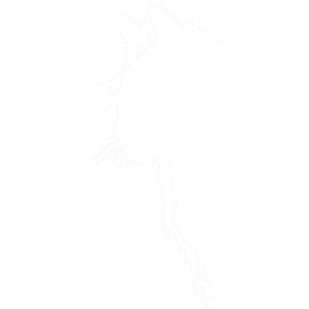 Cat silhouette.png