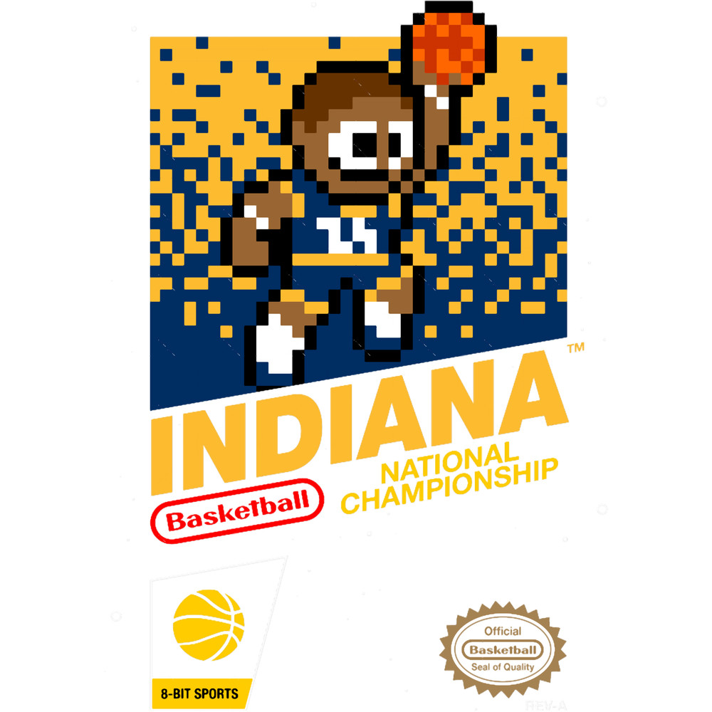 Indiana Pacers (8-bit Videogame Cart).png