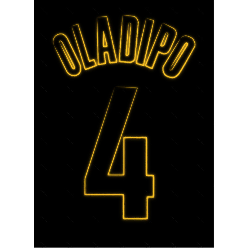 Victor Oladipo (6).png