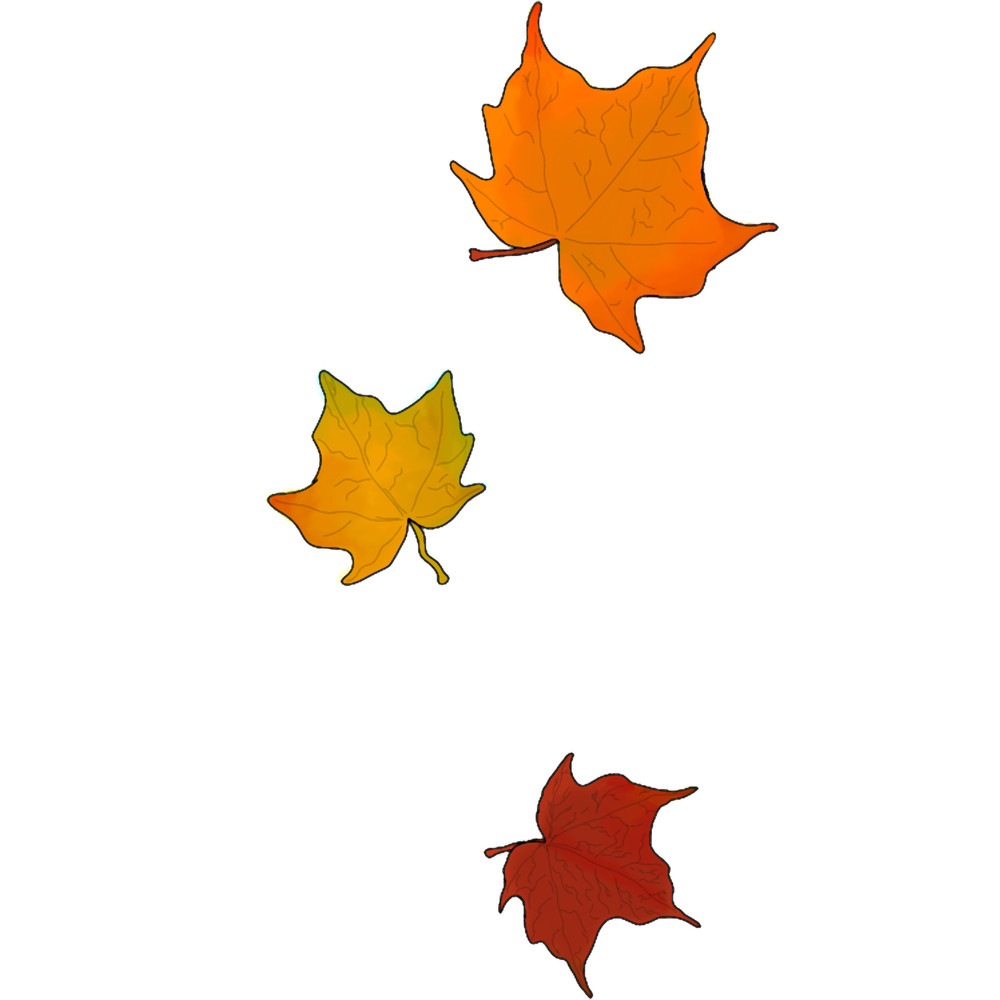 Autumn leaves.png