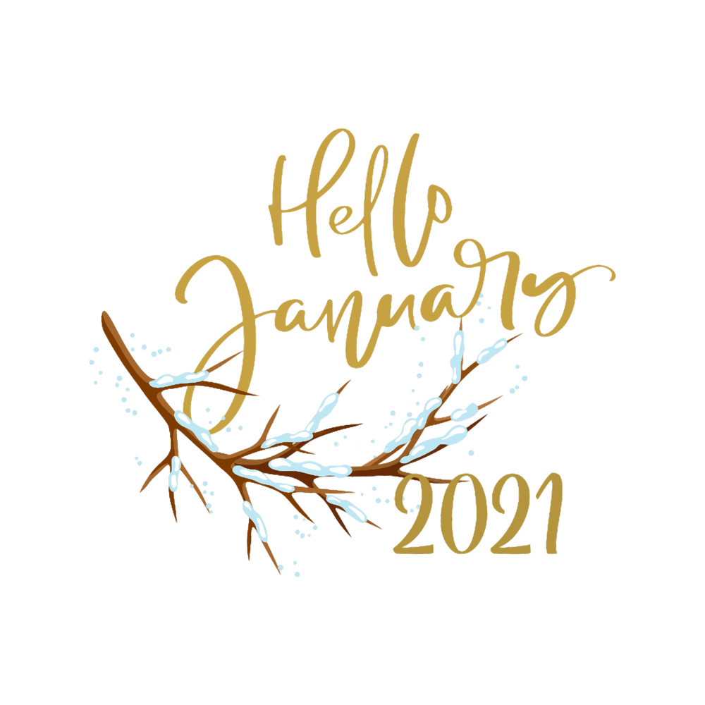 2021 january MONTH .png