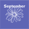Month Flower - September.png